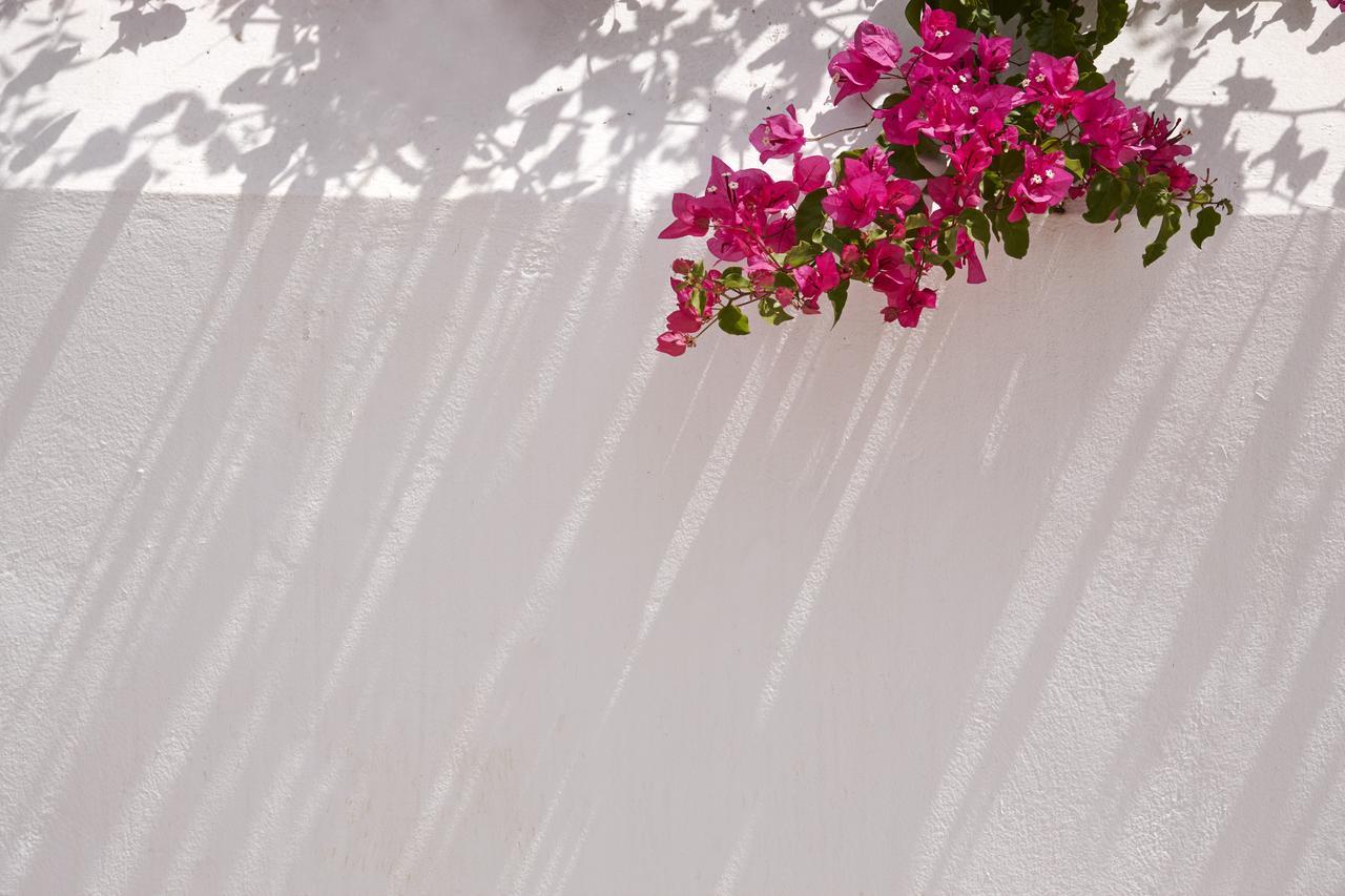 Spetses Retreat Accommodation Exterior foto